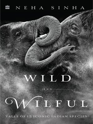 cover image of Wild and Wilful